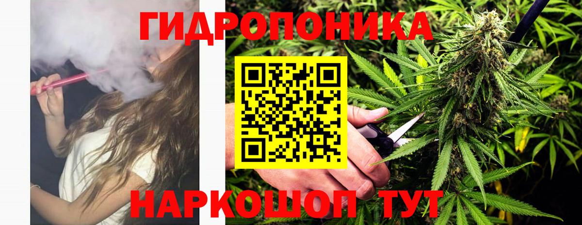 Бошки марихуана ГИДРОПОН Ковров